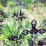 Cemetery of the Nameless