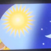 Observe Compare Contrats