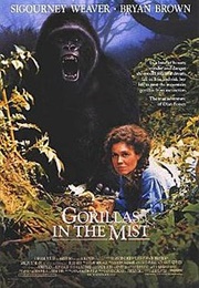 Gorillas in the Mist - Anna Hamilton Phelan & Tab Murphy (1988)