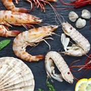 Ostraconophobia - The Fear of Shellfish