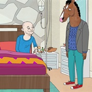 Bojack Horseman: "The Telescope" (S1,E8)