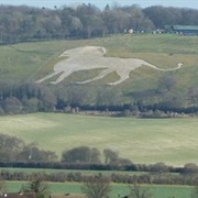 Whipsnade White Lion