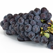 Grape Seed Extract