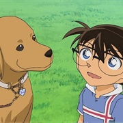 S33.E23: The Great Dog Coeur's Triumph 2