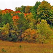Huron-Manistee National Forest, Michigan