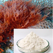 Carrageenan