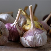 Red Sulmona Garlic