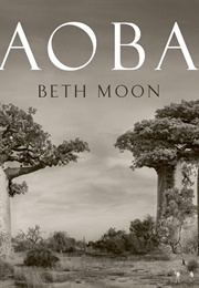 Baobab (Beth Moon)