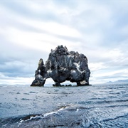Hvitserkur Rock, Iceland