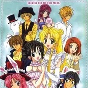 Searching for the Full Moon