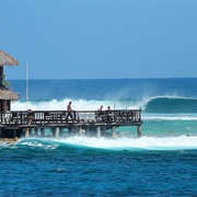 Pasta Point, Maldives