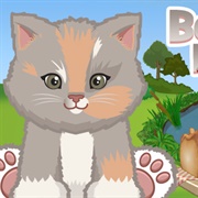 Bobtail Kitten
