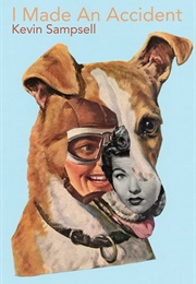 I Made an Accident (Kevin Sampsell)