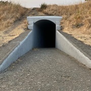 Macaulay Point Ruins