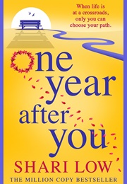 One Year After You (Low, Shari)