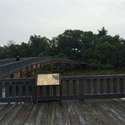 Alexander's Island Border Dispute