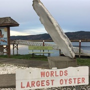 The World's Largest Oyster