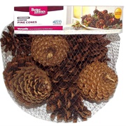 Cinnamon-Scented Pinecones
