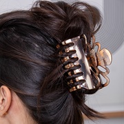 Hair Clip