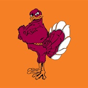 Virginia Tech Hokies