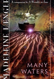 Many Waters (L'engle, Madeleine)