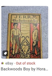 Jerry the Backwoods Boy; Or, the Parkhurst Treasure (Horatio Alger Jr.)