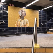 Stationary Figures Mosaics