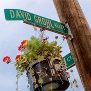 David Grohl Alley