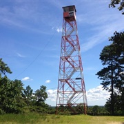 Apple Pie Hill Fire Tower