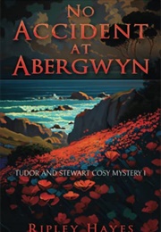 No Accident at Abergwyn: Tudor and Stewart Cosy Mystery 1 (Ripley Hayes)