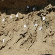 Dasht-I-Leili Massacre