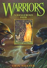 A Dangerous Path (Arc 1 Book 5)
