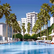 Delano Hotel, South Beach, FL