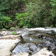 Tarra Falls