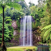 Millaa Millaa Falls, Queensland, Australia