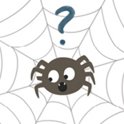 Frank the Seven Legged Spider