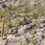 B-36 Bomber Crash Site