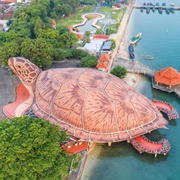 Giant Turtle, Kartini Beach, Jepara, Central Java, Indonesia