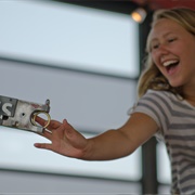 Ride a Brass Ring Carousel