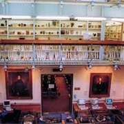 Gordon Museum of Pathology