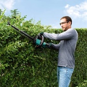 Trim a Hedge