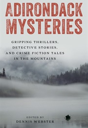 Adirondack Mysteries (Dennis Webster)