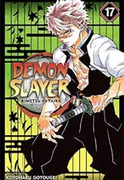 Demon Slayer: Successors (Vol 17)