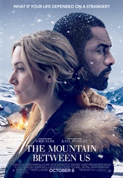 The Mountain Between Us (2017)