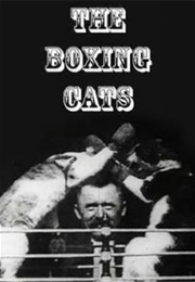 The Boxing Cats (1894)