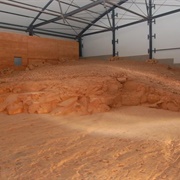 Lark Quarry Dinosaur Trackways