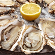 Oysters