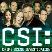 CSI: Crime Scene Investigation (2013)