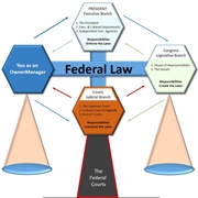 Understand the Constitution