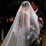 Pearl-Studded Veil